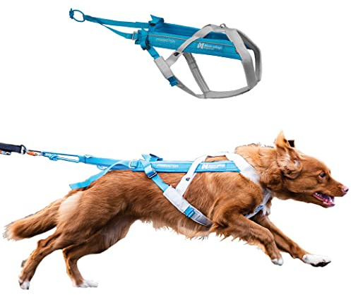 Freemotion Harness 5.0 Parent Listing (Blue/Gray, 5)