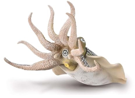 CollectA Gemeiner Tintenfisch – Realistische handgefertigte Meereslebewesen, Ozean-Spielzeug und Figuren, Tiermodelle, Tier-Geschenke für Kleinkinder und Kinder, ab 3 Jahren