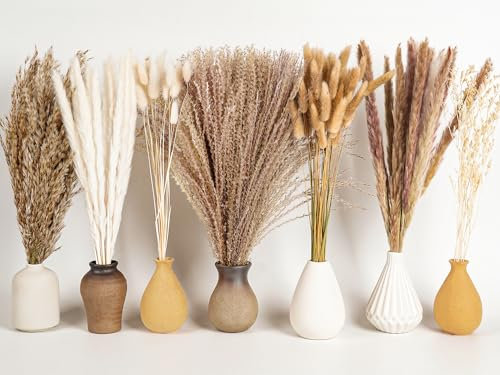 128-teiliges Pampas-Set, Boho-Dekoration, getrocknete Blumen, Pampasgras, perfekt für DIY Vase, Esstisch, Schlafzimmer, Wohnzimmer, Badezimmer und Wandkunst