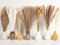 Set de 128 Pampa, Décoration Style bohème, Bouquet Fleurs séchées, Herbe de la Pampa, Parfait pour DIY Vase, Table à Manger, Chambre, Salon, Salle de Bain et Art Mural