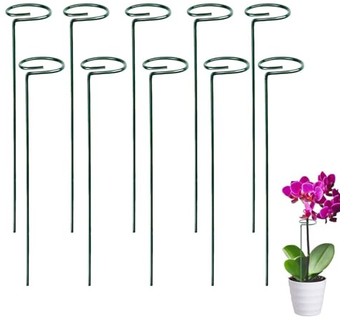 (A 40cm) 10 pièces Tuteurs pour Plantes, Anneau Support De, Jardin en Métal Plant Stake, Plantes Enjeu De Soutien, pour Jardin, Vignes, Pivoines Attendre (Bâton Unique 30cm, 10pcs)