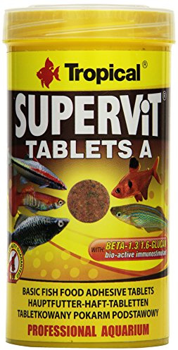 Tropical Supervit Tablets A Hauptfutter Hafttabletten, 1er Pack (1 x 250 ml)
