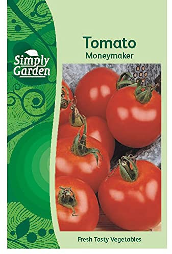 Simply Garden Tomato Moneymaker Fresh Vegetable Fruit Seeds Grow Your Own Garden