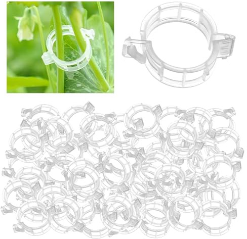 Dumhuts 300 Stück Tomaten Klammern,Pflanzenclips,Tomatenclips Biokunststoff,Pflanzenklammern Tomatenclips, Balkon und Gewächshaus, Ideal für Tomaten, Gurken, Paprika, 3cm Außendurchmesser
