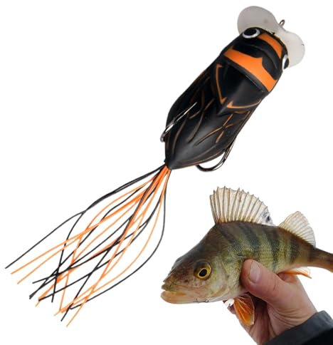 LearnLyrics Salzwasser Angelköder, Zikaden-Angelköder, 65 mm, Süßwasserforellenlilie mit zwei Haken, Simulation Fangköder, Zikaden-Form, für Fluss, Vivide Sea Animal Bait