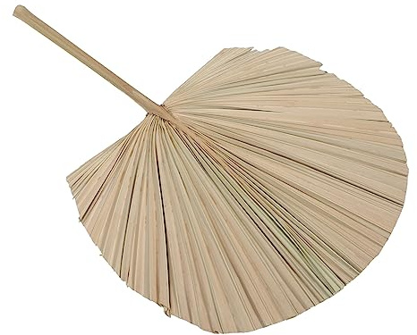 Vaguelly Decoración de Palma Secas Arreglos de Plantas Secas para Decoración de Jarrones Domésticos Adorno Artístico para Bodas y Fiestas