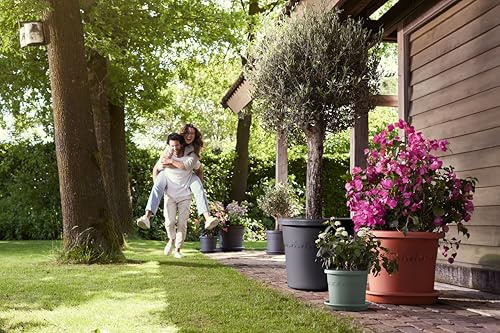 Elho Algarve Cilindro Ruedas 40cm - Macetero Grande Exterior - Jardineras - 100% Plástico Reciclado - Negro/Anthracite