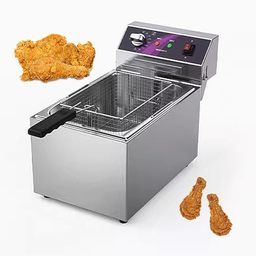 Friteuse Electrique Professionnelle avec Fonction de Chronométrage, Friteuse Grande Capacité en Acier Inoxydable, Contrôle de La Température de 60-200℃, 220V(28 * 46 * 37.3cm)
