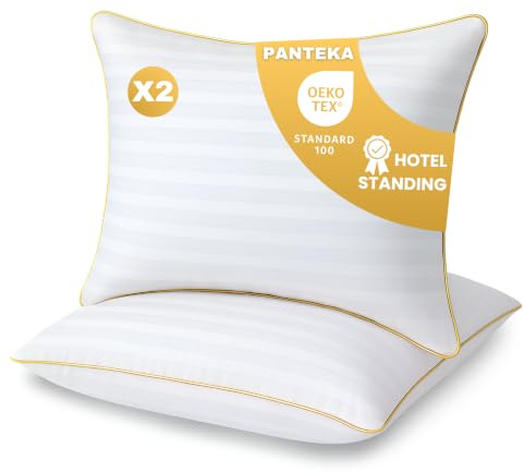Panteka Kopfkissen 60x60 cm 2er-Set - Bettkissen Hypoallergenes Hotelkissen | Oeko-Tex - Weiches und Flauschiges Schlafen Kissen - Seiten, Rücken und Bauchschläfer, Maschinenwaschbar