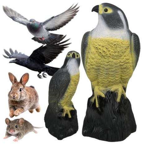 Falco Spaventapasseri Realistico Dissuasore Piccioni Storni Passeri Repellente Uccelli Per Balcone Terrazzo Giardino Falcon Finto Antipiccioni Plastica Resistente UV Per Esterno