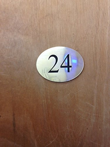 FSSS Ltd ENGRAVED SELF ADHESIVE ROOM DOOR LETTERBOX NUMBER HOTEL B&B SHOP BUSINESS SIGN (BRUSHED SILVER, OVAL)
