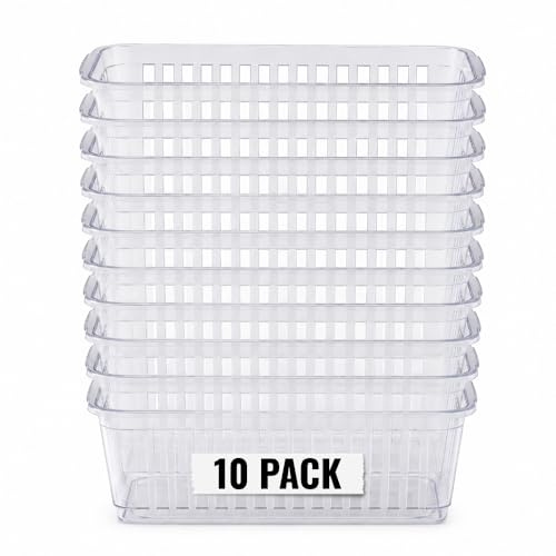 Plastic Baskets for Storage 25cm Mini Kitchen Storage Basket Fruit & Vegetable Organiser, Pantry Shelf Storage Basket, Small Handy Basket for Home, Bathroom, Office & Picnic (Clear)