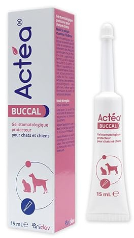 Anidev Actéa Mundgeruch – beruhigendes Gel für Zahnfleisch für Hunde und Katzen – Mundhygiene – Grenze Zahnstein und schlechten Atem – beruhigende Wirkung reparierend und schützend, 15 ml