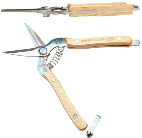 Bloomstar by Crescience Crop & Trim N°5 Gartenschere Pflanzenschere mit ergonomischen hochwertigen Holzgriffen Edelstahl Ernteschere Pflückschere Rosenschere Baumschere