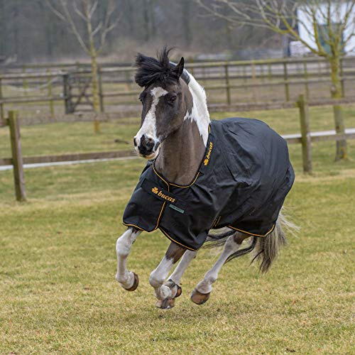 Bucas Irish Turnout Light + Neck Set in Black-Gold