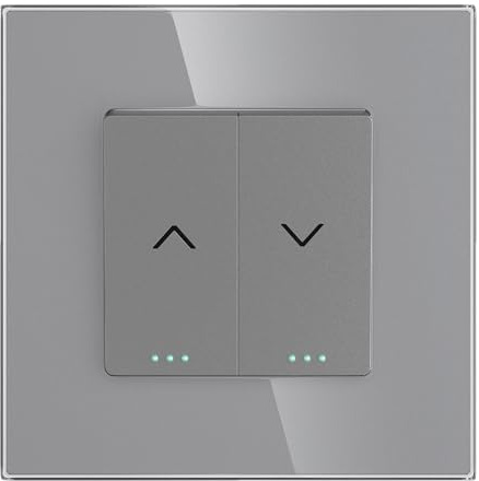 PULSAR Rolladentaster Grau 1 Fach Glas - Jalousietaster Unterputz Steuerung für Rollo/Rouleau/Jalousette Taster 10A 250V