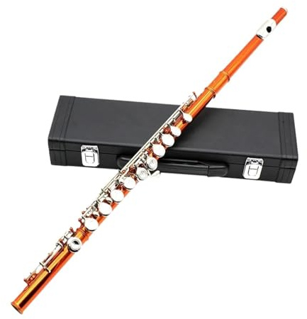 Flöte Orange 16-Loch-Flöte Professionelle C-Tasten-Flöte Geschlossene Plattierte Konzertflöte Mit Box-Tuch-Stick-Handschuhen