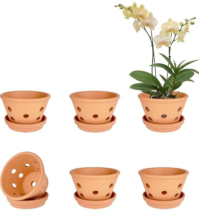 vensovo Lot de 6 grands pots à orchidée en terre cuite de 12,7 cm avec trous et soucoupes pour rempotage - Pour intérieur et extérieur - Favorise la circulation de l'air