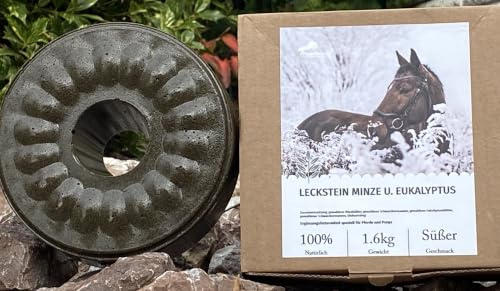 Pferdelutscher Leckstein Minze und Eukalyptus -speziell für Pferde und Ponys - 1,6 kg (1kg/16,19€)