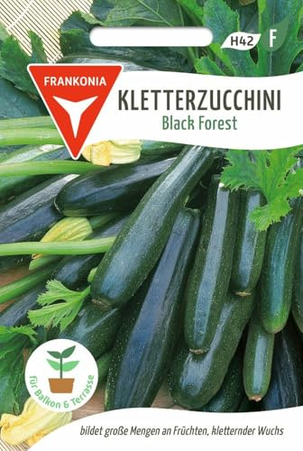 FRANKONIA® Kletterzucchini, Black Forest F1 - Gemüse-Samen Saatgut Zucchini-Samen Samen (Cucurbita pepo)