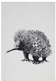 Maxwell & Williams Geschirrtuch Echidna 100% indische Baumwolle weiß 50x70 cm
