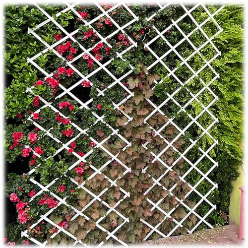 Treillis en bois de lierre artificiel extensible pour décoration d'intérieur et d'extérieur - Cadre de support en bois extensible pour jardin - Brise-vue (blanc, 82 cm)