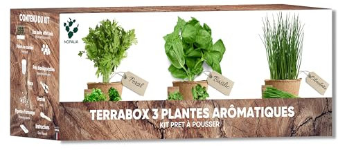 Kit erbe aromatiche e aromatiche - Mini orto interno ed esterno - Semi biologici (basilico, prezzemolo, erba cipollina) - Idea regalo insolito e cucina - Prodotto ecologico - Made in France