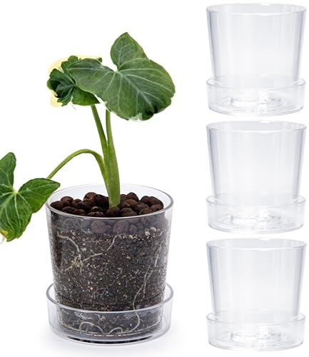 Phoenix Vine Maceta acrílica Transparente de 4.5 Pulgadas con Bandeja, Maceta para orquídeas con Agujeros de Drenaje, platillo Profundo para riego Inferior, recipientes Transparentes para Plantas de