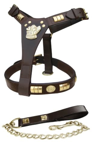 Staffie Staffordshire Bullterrier Hundegeschirr und Leine, Leder, Braun, Messing