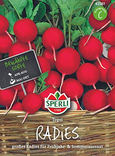 Sperli Gemüsesamen Radieschen Topsi, grün