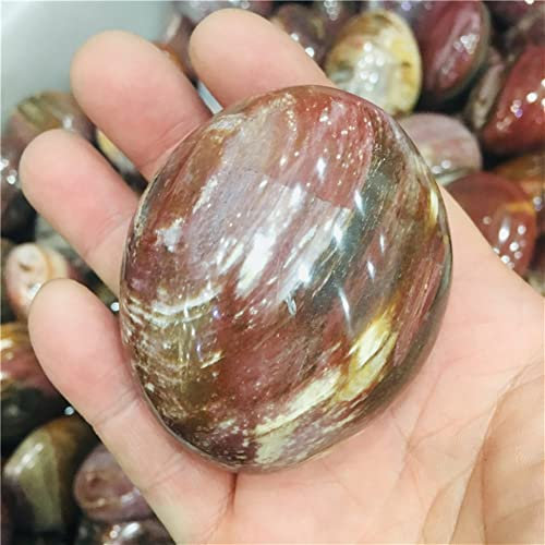 PAKMEZ Edelsteine ​​zur Dekoration, 100 g, natürliches versteinertes Holz. Spielen Sie mit dem Stein. Stone Rolling Palmetto Stone. 1 Stück Aura