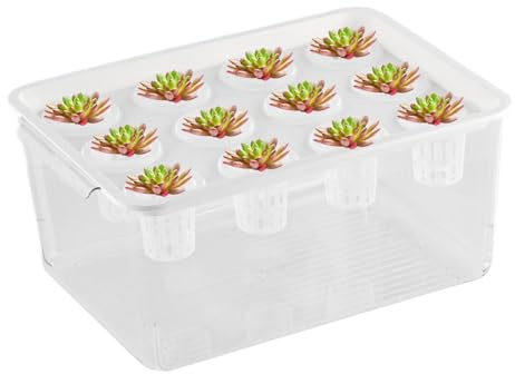 Aquaponics Betta Aquarium Hydroponic Fish with Plant Container for Growth Without | Aquarium Table Table with Healthy Hydroculture Environment for Plants and Fish Plants