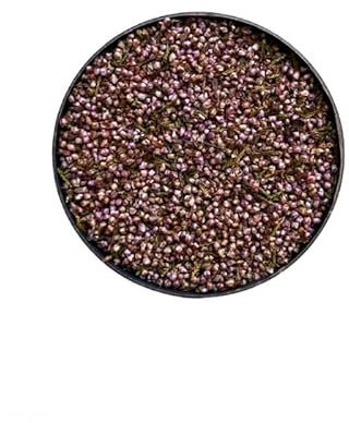 Kräutertee Heidekraut Blüte mondiert 100 GRS VOLLSTÄNDIG Calluna vulgaris.