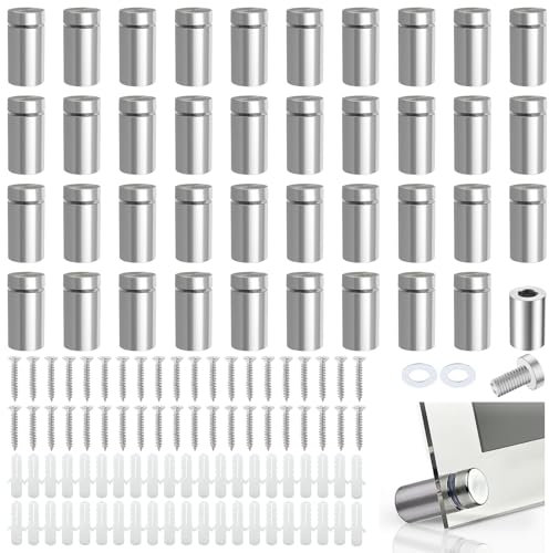 XSHAO® 40 Pièces Entretoises en Verre, Vis de Publicité Vis D'écartement en Acier Inoxydable avec Chevilles et Vis, pour Montage Fixation de Verre/ Miroir/ Affiche Acrylique (12 x 25 mm)