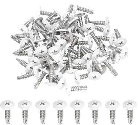 QUARKZMAN 60Pcs M4.2x16mm Vis Autotaraudeuse Tête Cylindrique Blanche, Vis Autoperceuses en Acier Inoxydable 410 pour Tôle, Argentées