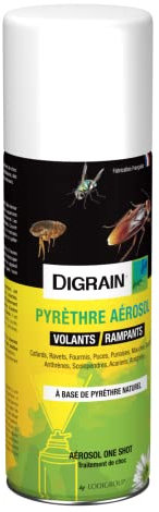 Pyrèthre Aérosol Digrain (200 ml) - Anti insectes rampants & volants