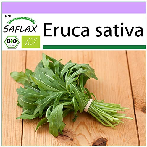 SAFLAX - BIO - Ruccola - 500 Samen - Eruca sativa