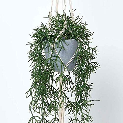 HOMESCAPES Artificial Hanging Basket 116 cm Long Faux Hanging Plant In Grey Melamine Pot Rhipsalis Trailing Plant with Macramé Knotted Rope Style Hanger and Hook for Indoor Decoration