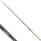 Balzer Angelrute Diabolo Golden Circle Tele 75 - Profi Teleskoprute Karpfen, Hecht, Zander, 20-75g (2,70 m)