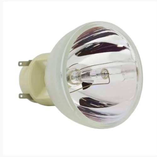 DONGCMYG Ampoule de remplacement for projecteur BL-FP220B/SP.78B01GC01, compatible avec OPTOMA EH380 W380 X380 EH400 EH400 + W400 W400 + X400 X400 +(Bulb)