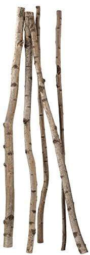 Deco Woerner Deko Birkenstämme 170 cm, 5 Stück Natur Deko-Holz Baumstämme Birken Naturdekorationen Herbstdekoration