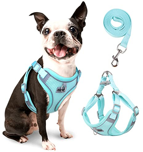 Rennaio Harnais Anti-tir pour Chien, Réglable avec 2 Clips de Laisse, Réfléchissant et Ensemble de Laisse pour Chiens de Petite et Moyenne Taille (Cyan, M)