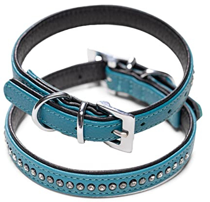 Hundehalsband aus Echt-Leder mit Strasssteinen/Kristall besetzt – funkelndes Hunde und Katzen Halsband aus gepolsterten und doppellagigen Büffelleder - Lederhalsband Audrey (XS (19.0-23.5cm), Türkis)