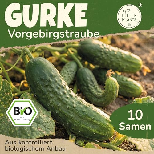 Little Plants BIO Einlegegurke Samen 10 Gurkensamen Vorgebirgstraube Gemüsesamen Samenfest für Gemüsegarten Gemüse Samen für Küche, Balkon, Hochbeet und Garten