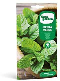Eurogarden - Semillas de Menta Verde, Planta aromática culinaria, 0,1 g - 653