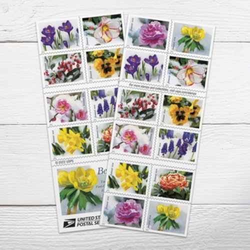 Snowy Beauty 2022 (Book of 20) Winter Flowers, Garden, Wedding, Love, Celebration, Holiday First-Class Mail Forever Postage Stamps