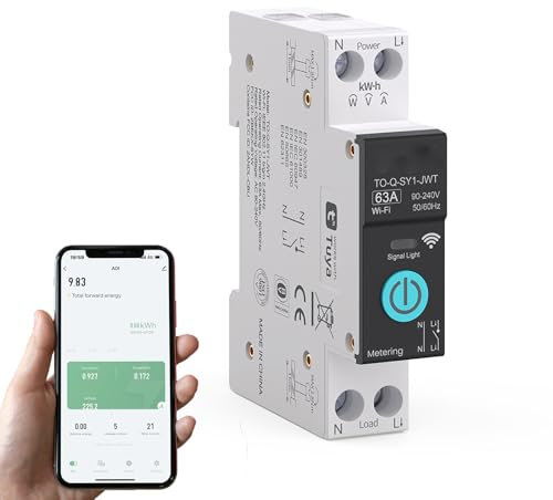 Weinsamkeit Interruttore collegato, telecomando intelligente da 16 A, misurazione dell'interruttore WiFi con, controllo vocale e registrazione del tempo, interruttore WiFi wireless per la casa