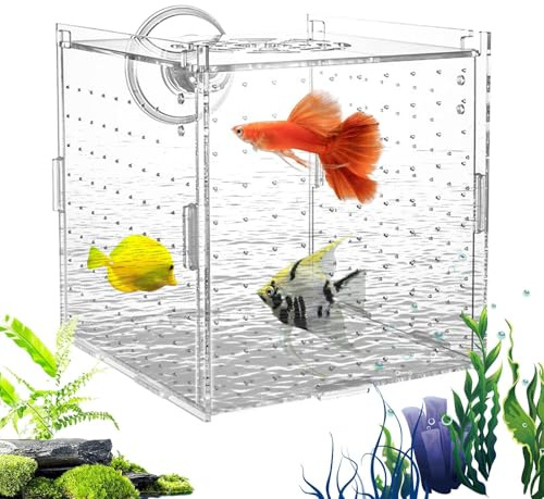 Yngelbox För Akvarium - Stabil Separator För Ungfisk I Akvarie,Genomskinlig Akryldelare För Räkor, Betta, Ängel, Yngel – Äggkläckning & Aklimatisering