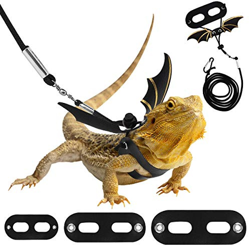 Pawaboo Guinzaglio per Imbracatura per Rettile, Pelle Premium Guinzaglio Regolabile con Ali di Pipistrello per Lucertola Rettili Anfibi Piccoli Animali Domestici, Taglia S/M/L, Nero + Oro