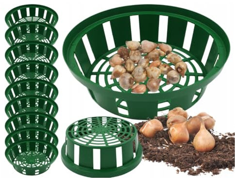 MIKONI Zwiebelkorb 10 Stück Ø26cm Blumenzwiebel Pflanzkorb draußen, Grün, Pflanzschale